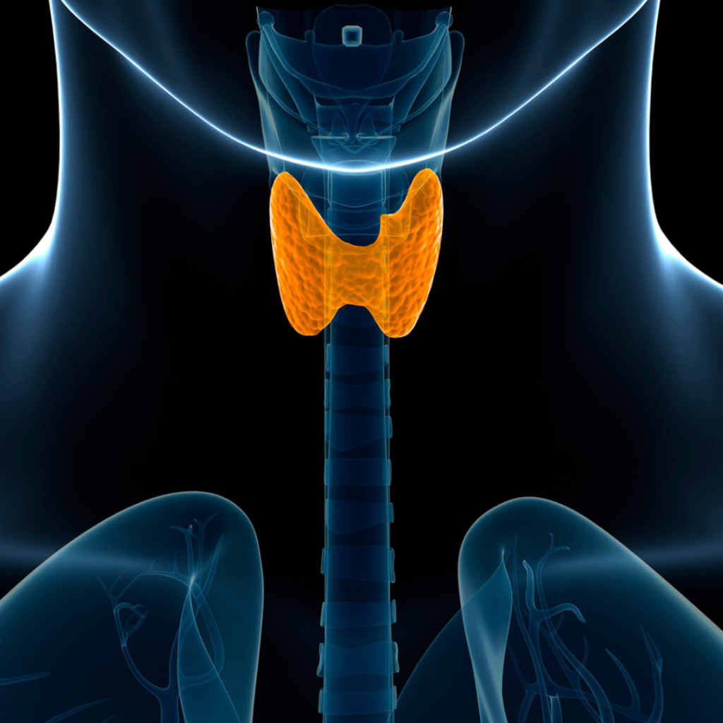 endocrine surgery